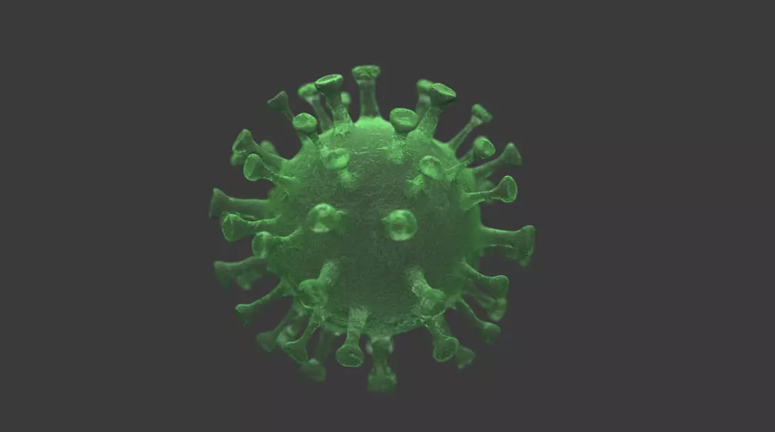 coronavirus 3D model_0