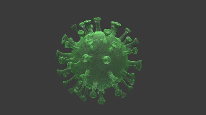 coronavirus 3D model