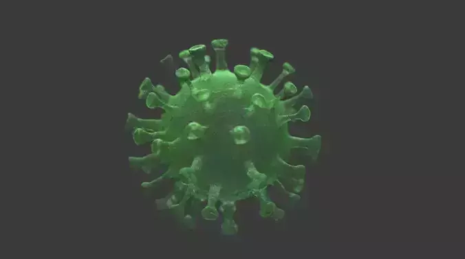 coronavirus 3D model