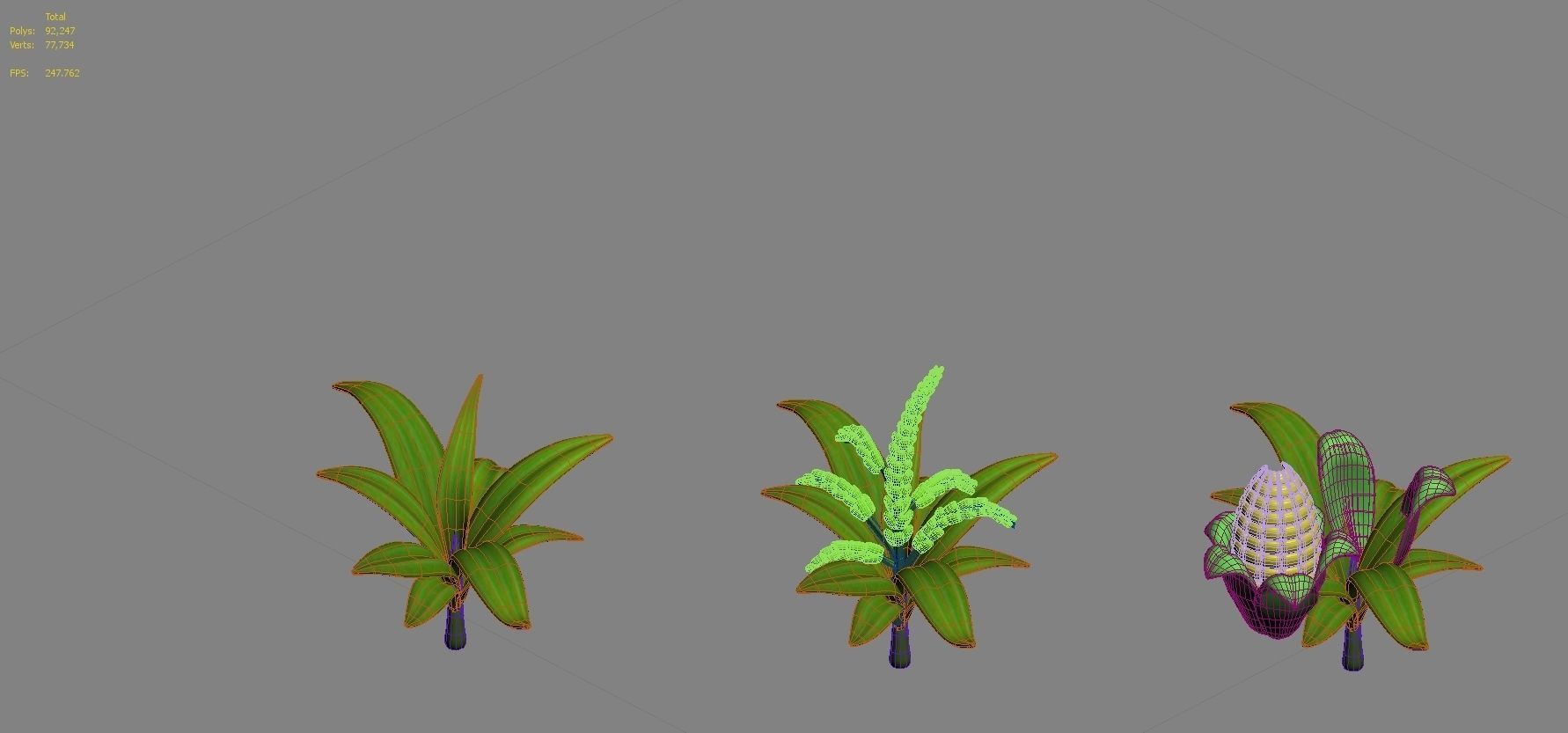 plant cartoon 3D model_16