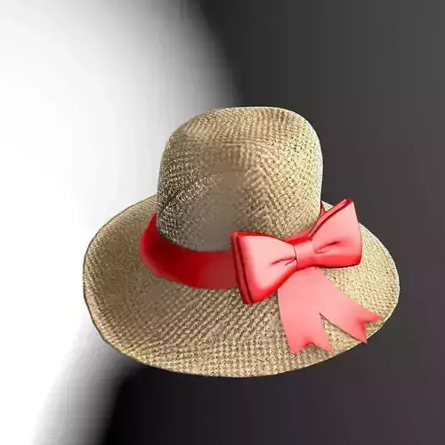 Straw Beach Hat Package