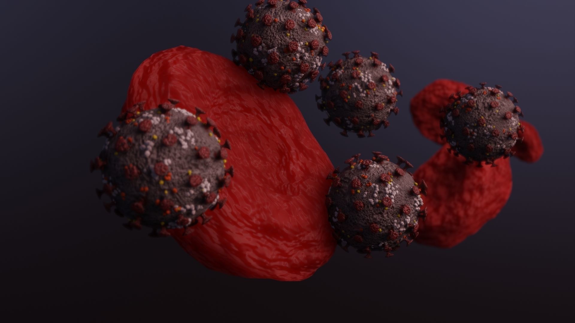 Corvid 19 Corona Virus Low-poly 3D model_3
