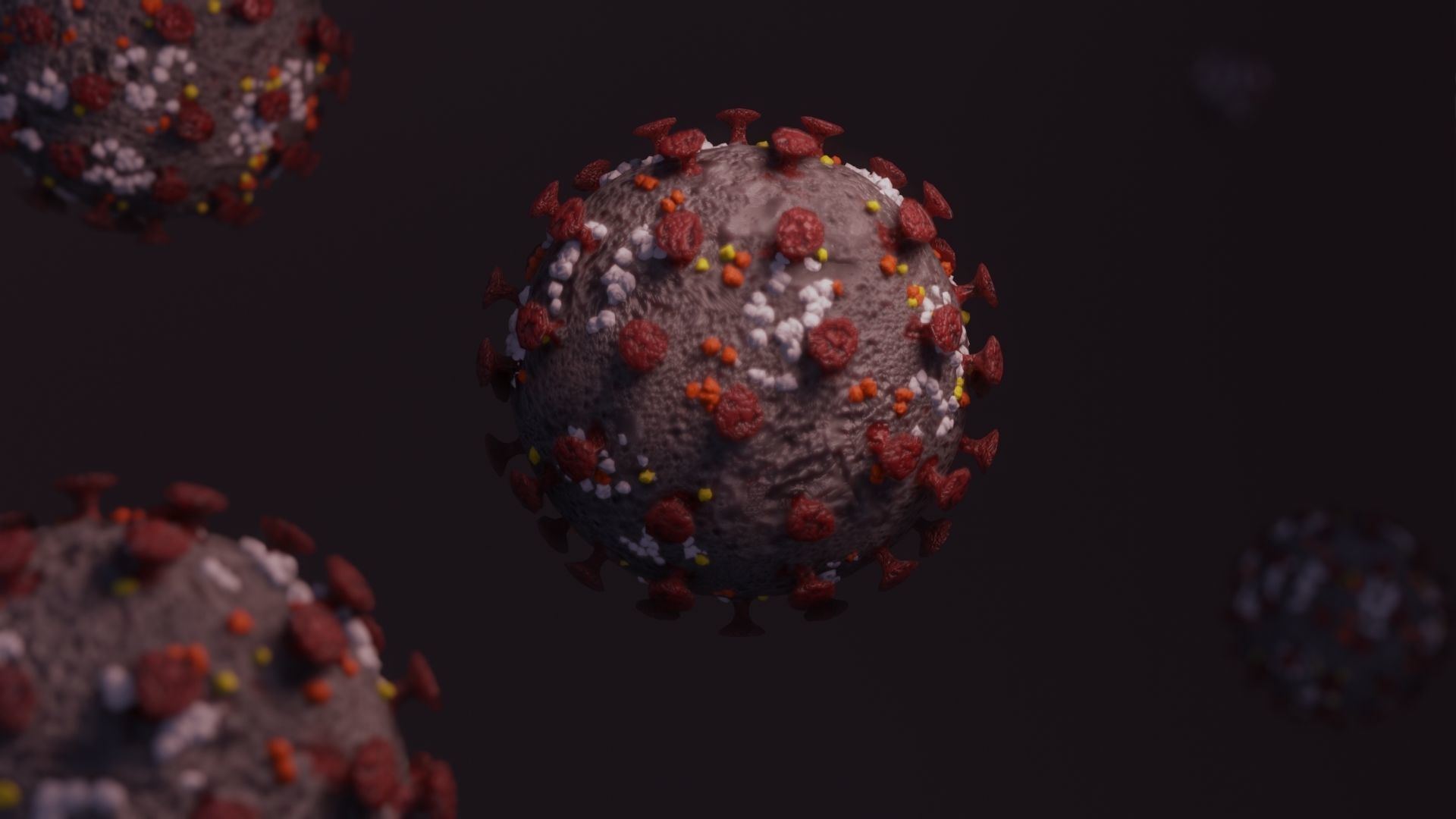 Corvid 19 Corona Virus Low-poly 3D model_2