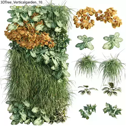 Verticalgarden - Green wall 10