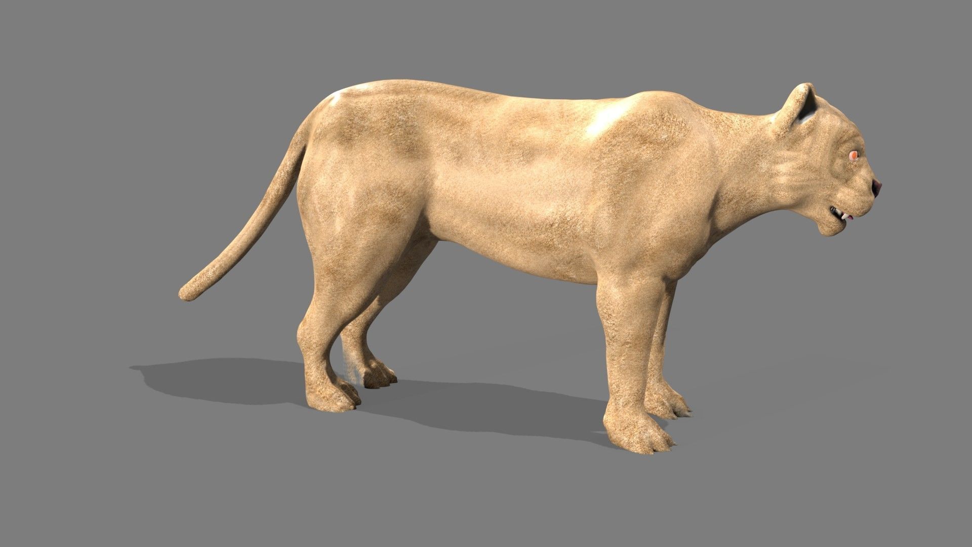 Lioness lion 3D model_7