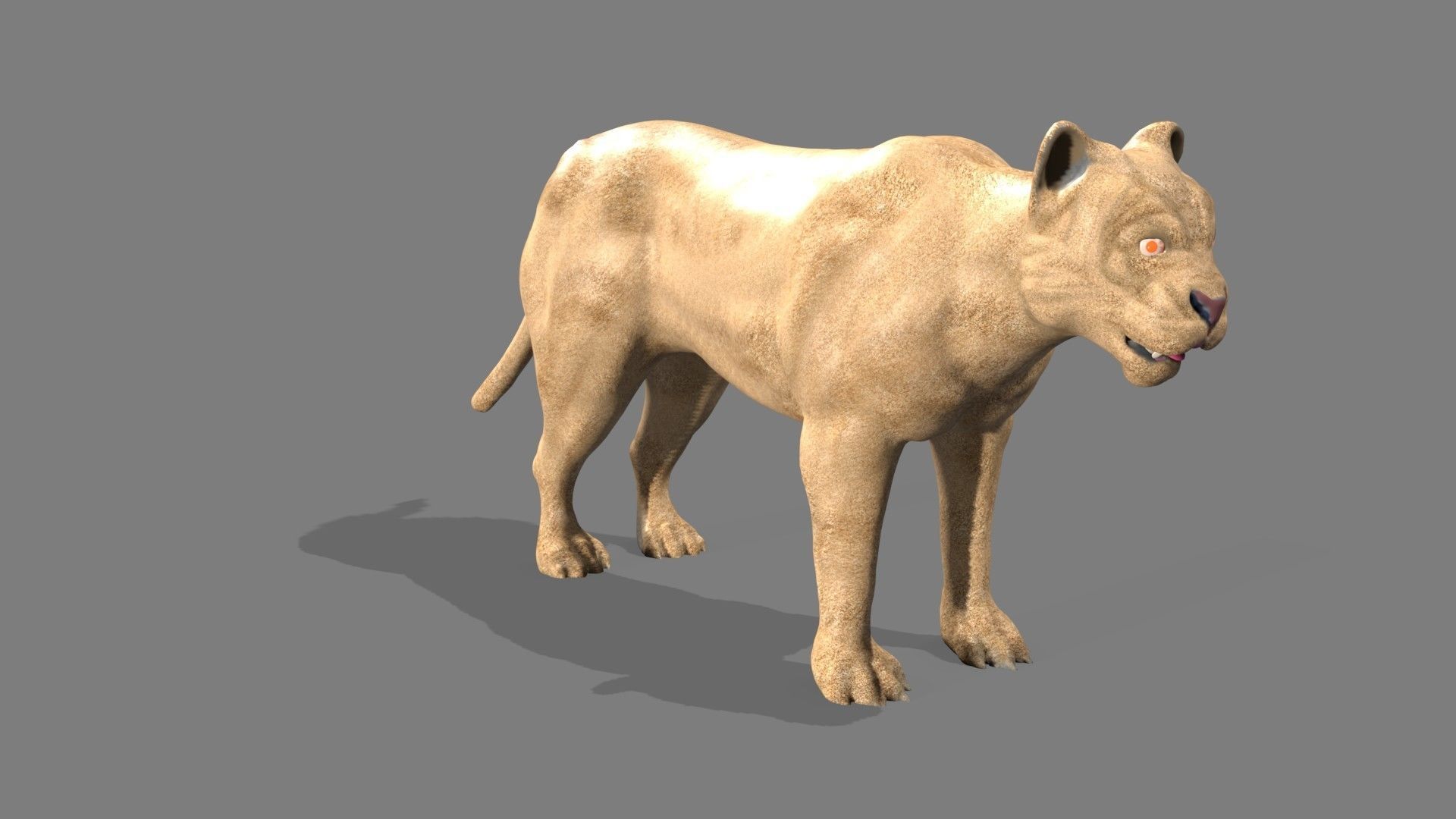 Lioness lion 3D model_5