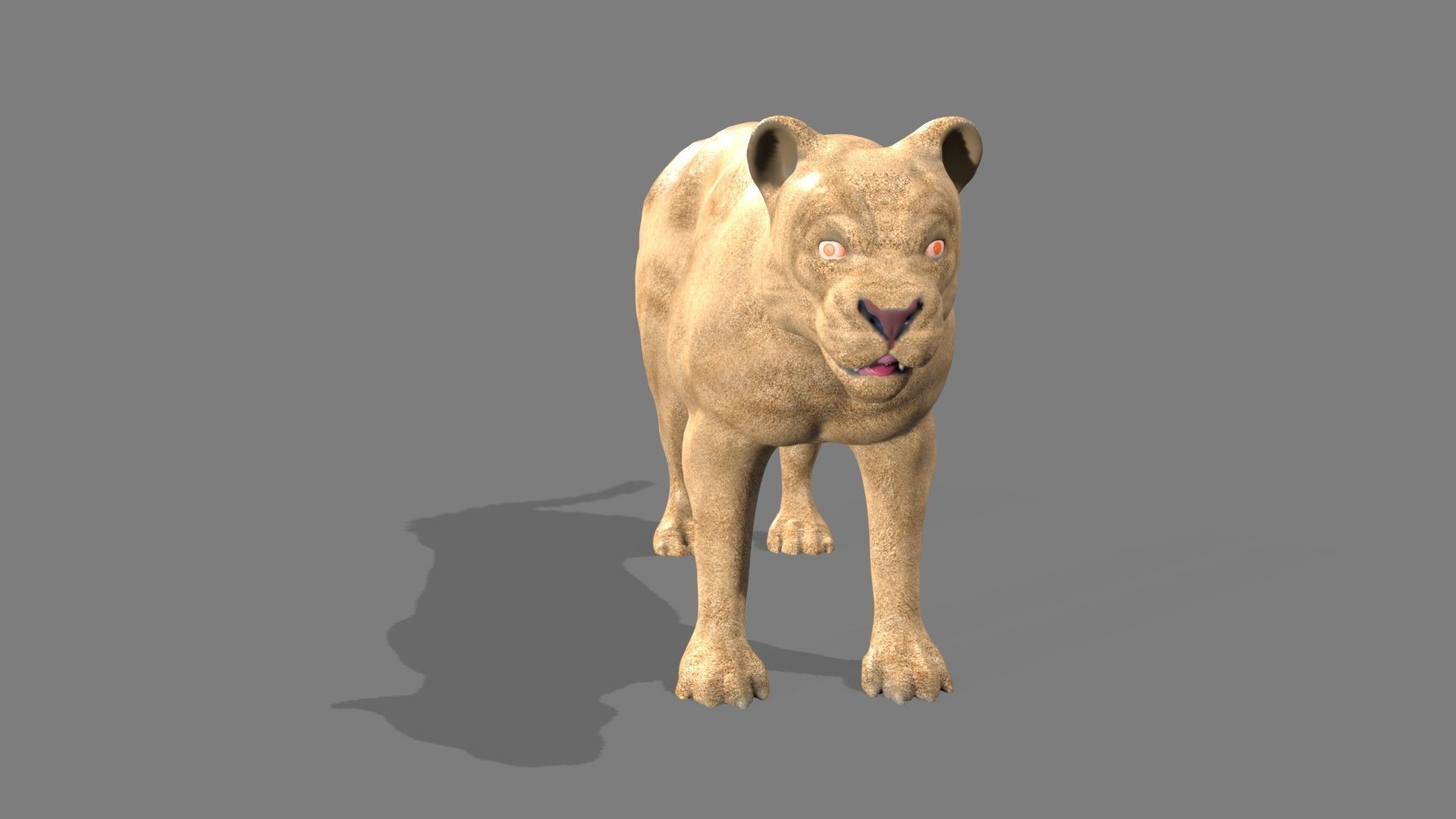 Lioness lion 3D model_3