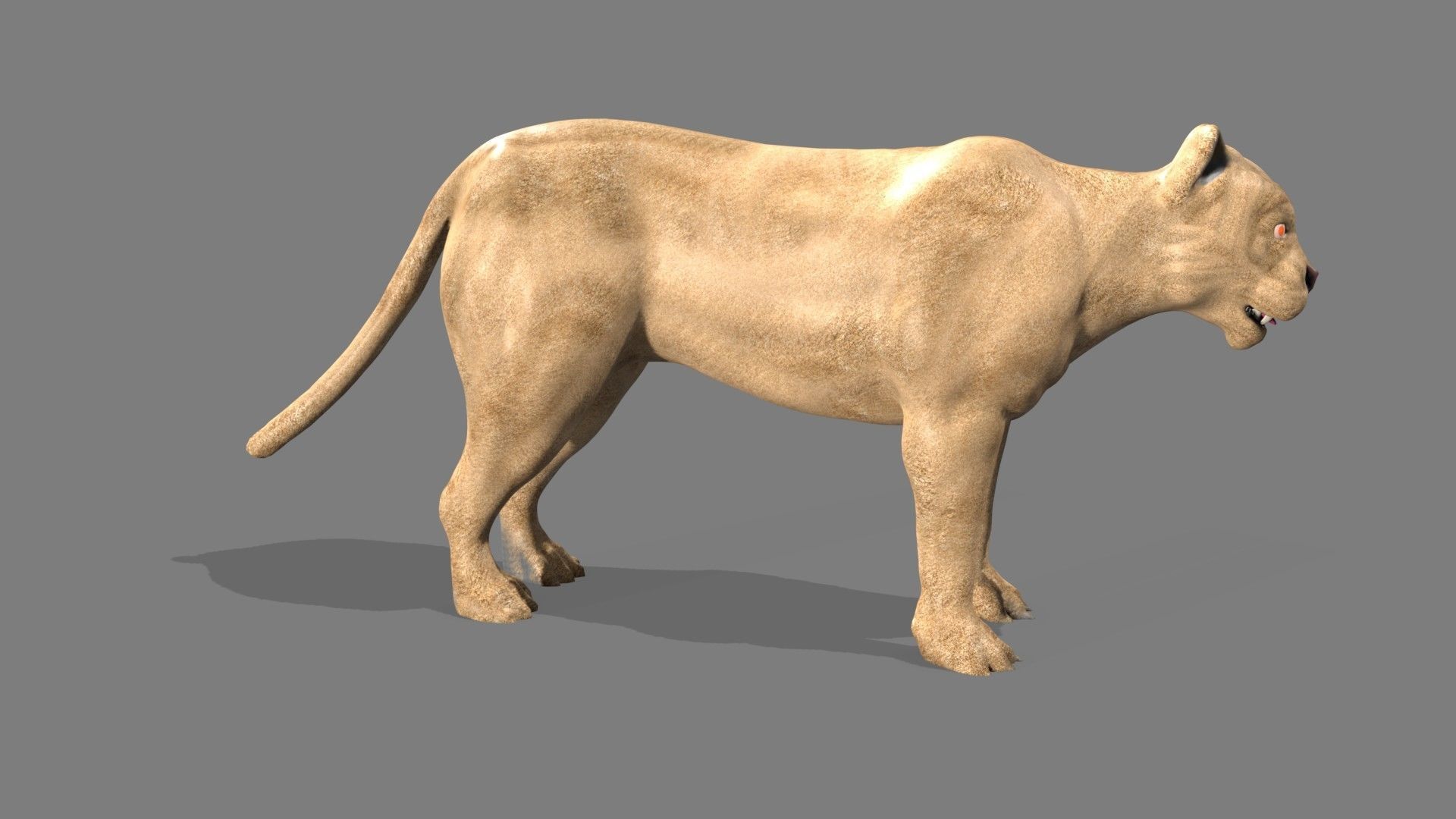 Lioness lion 3D model_8