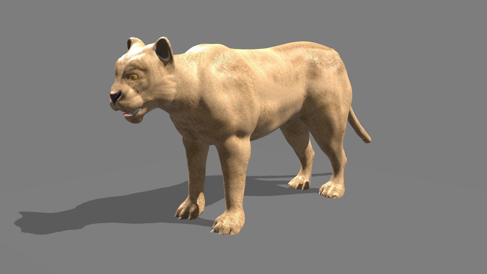 Lioness lion 3D model_16
