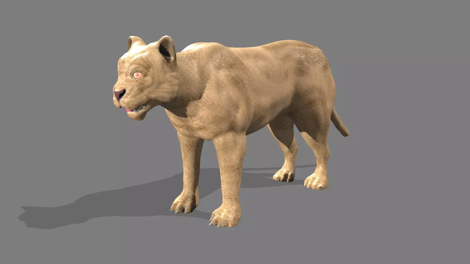 Lioness lion 3D model_0