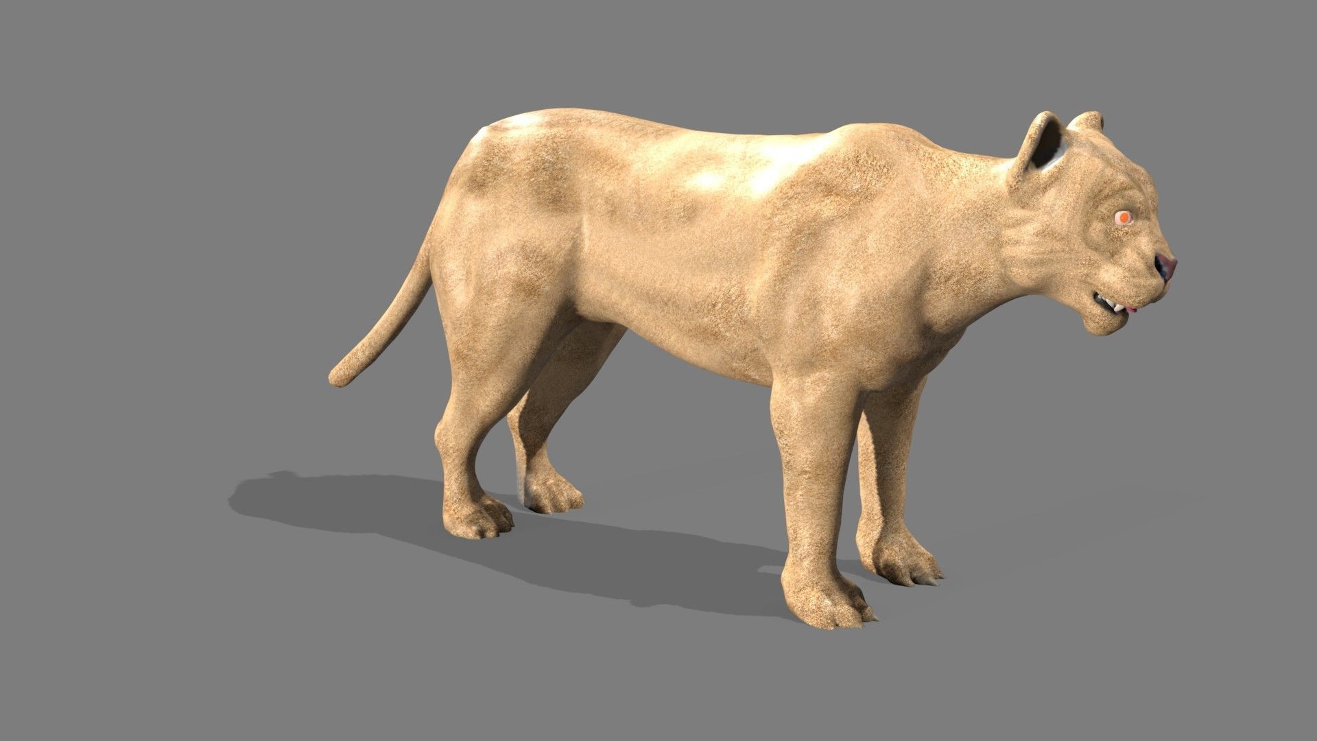 Lioness lion 3D model_6