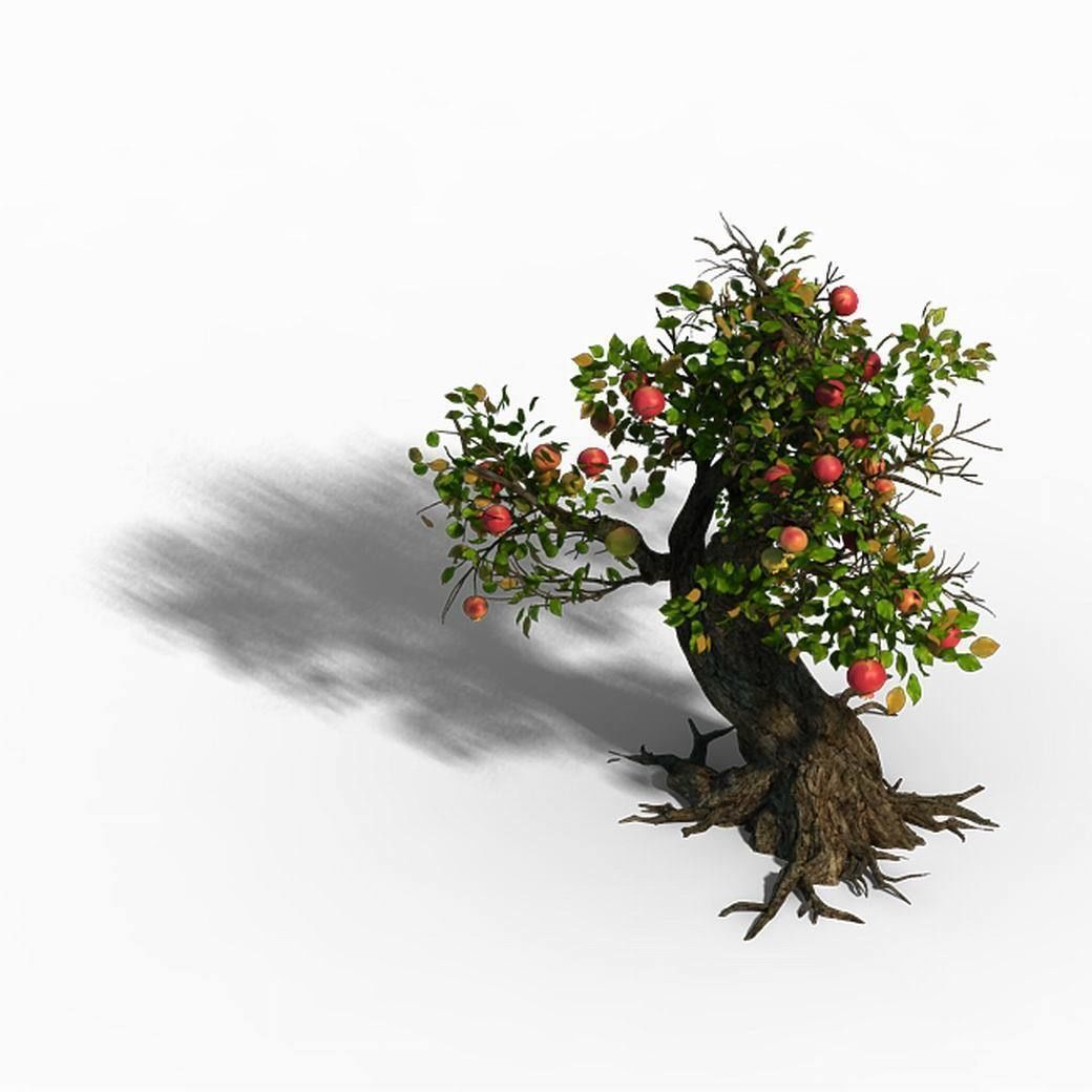 Grass Temple Village - Tree 02 3D model_6