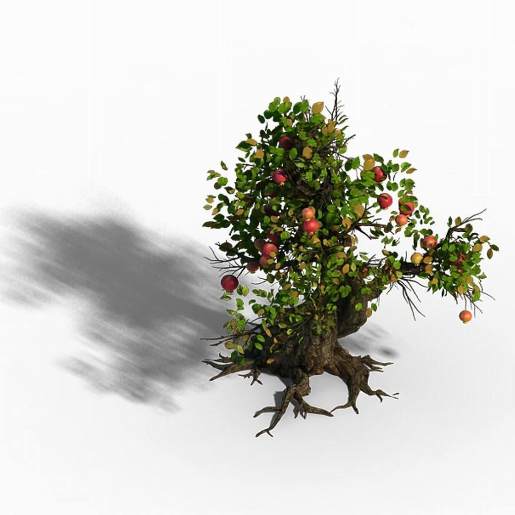 Grass Temple Village - Tree 02 3D model_11