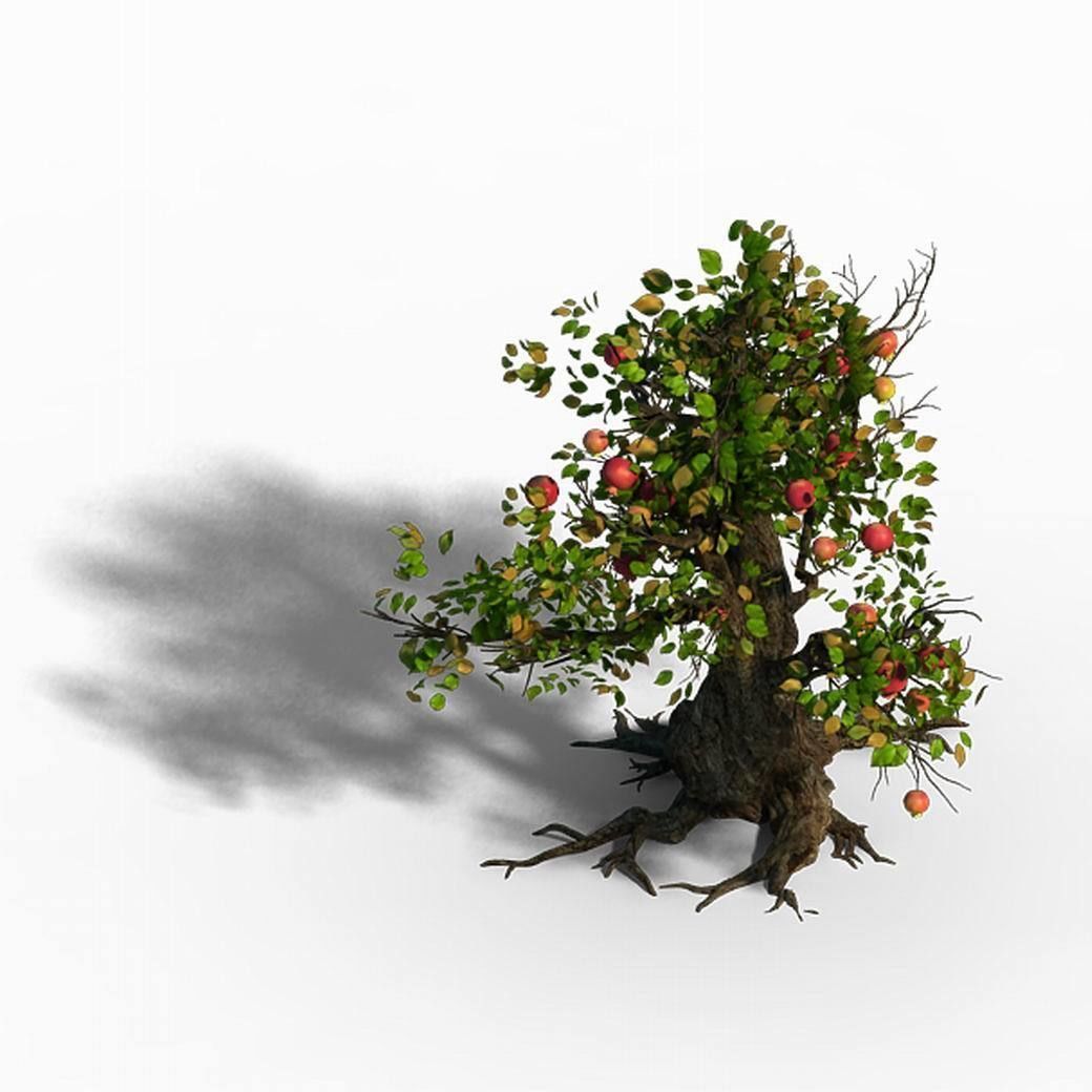 Grass Temple Village - Tree 02 3D model_4