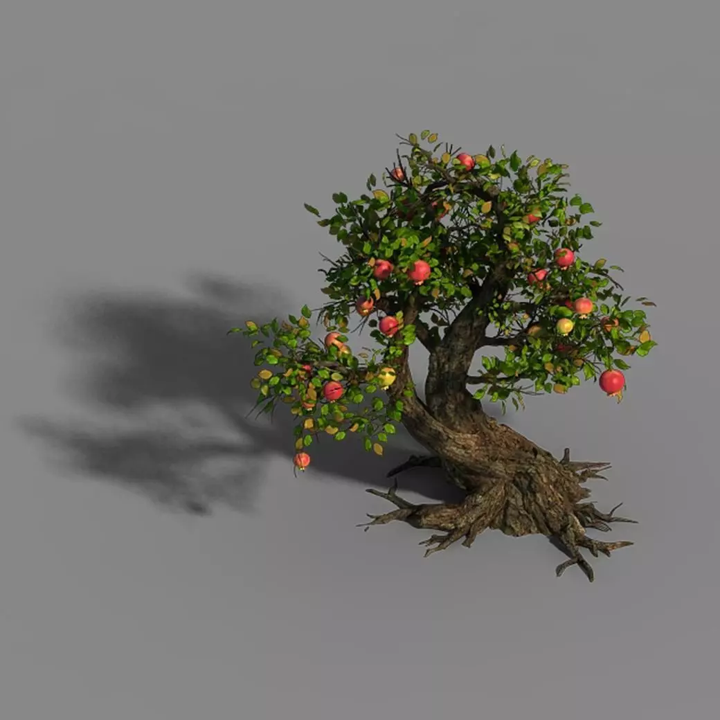 Grass Temple Village - Tree 02 3D model_0