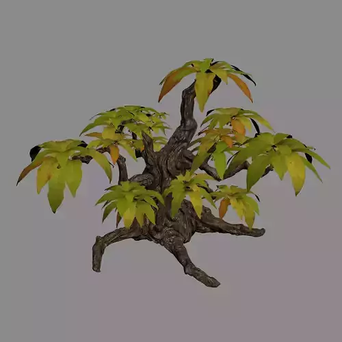 Grass Temple Village - shrubs 01