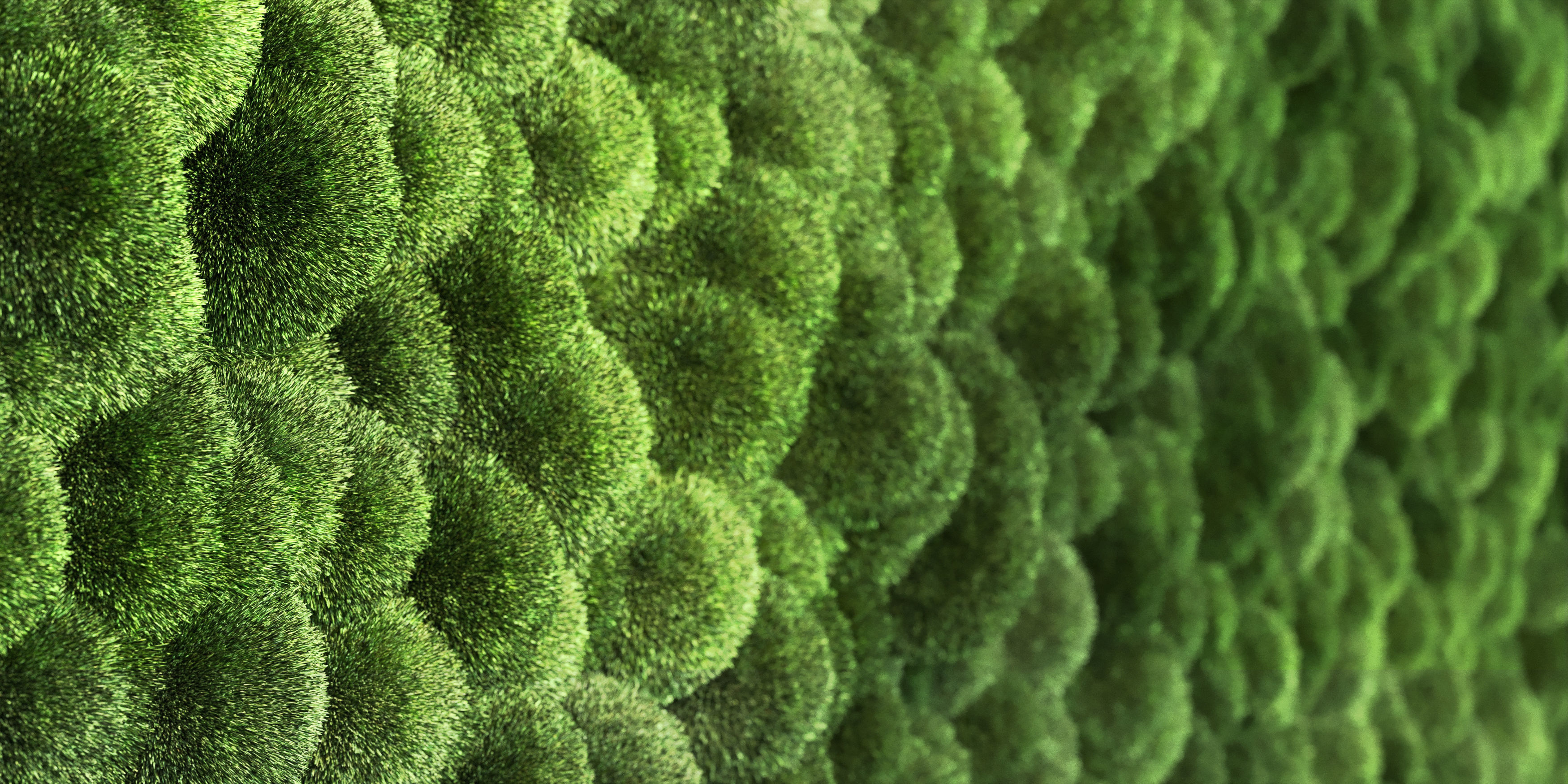 moss wall frame 3D model_1