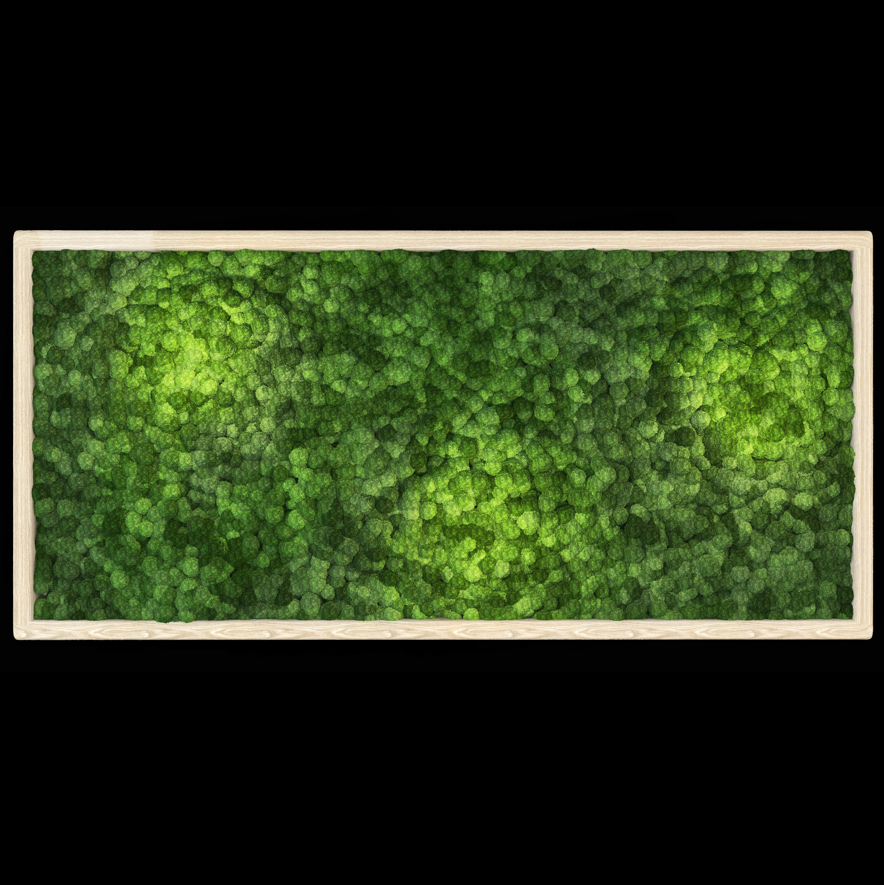 moss wall frame 3D model_5