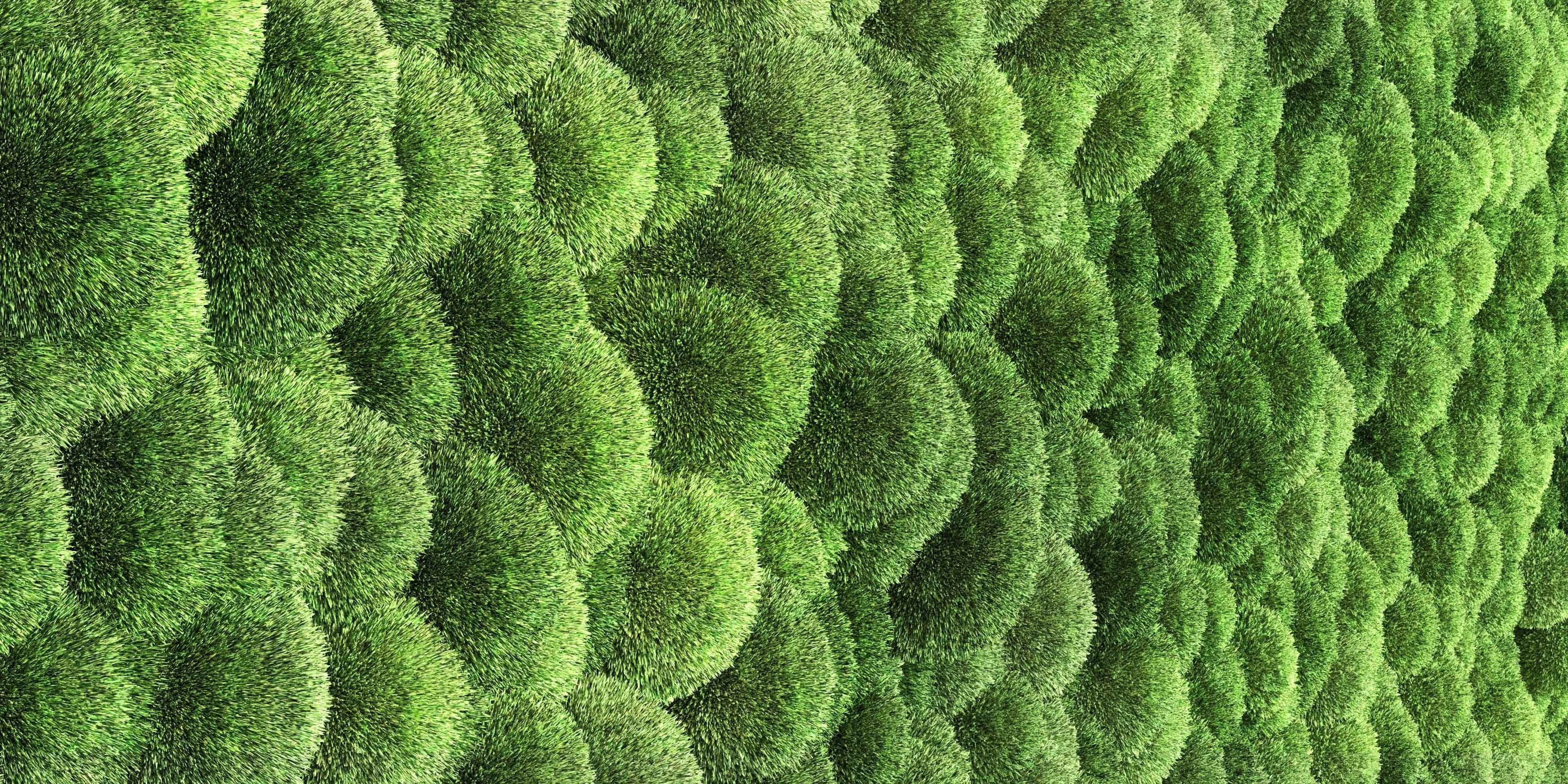 moss wall frame 3D model_4