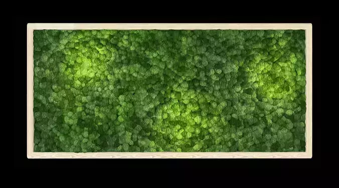 moss wall frame
