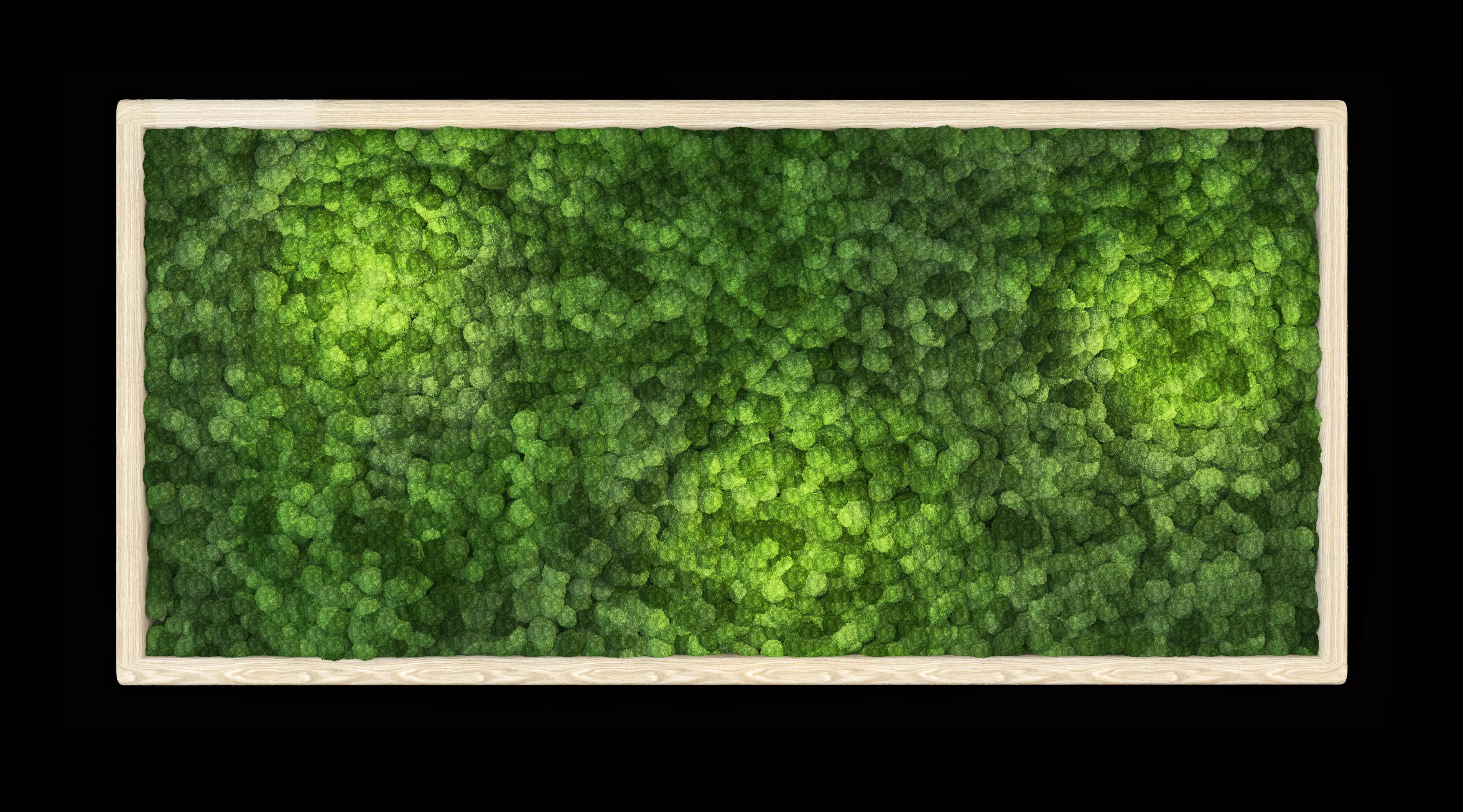 moss wall frame 3D model_0