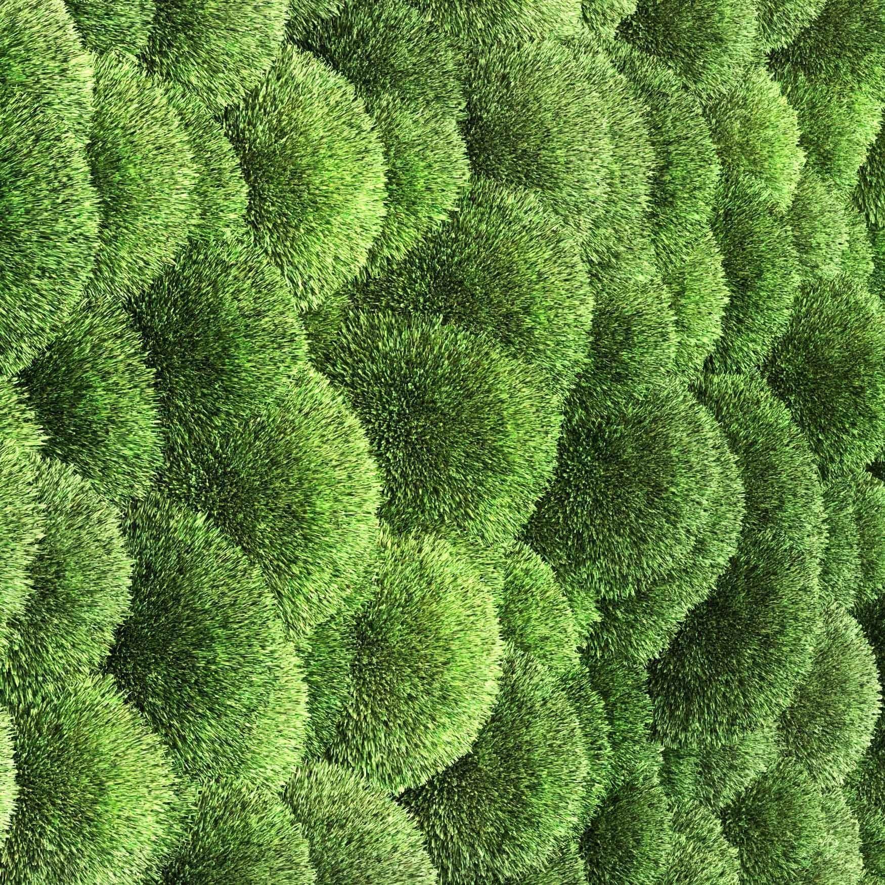 moss wall frame 3D model_3