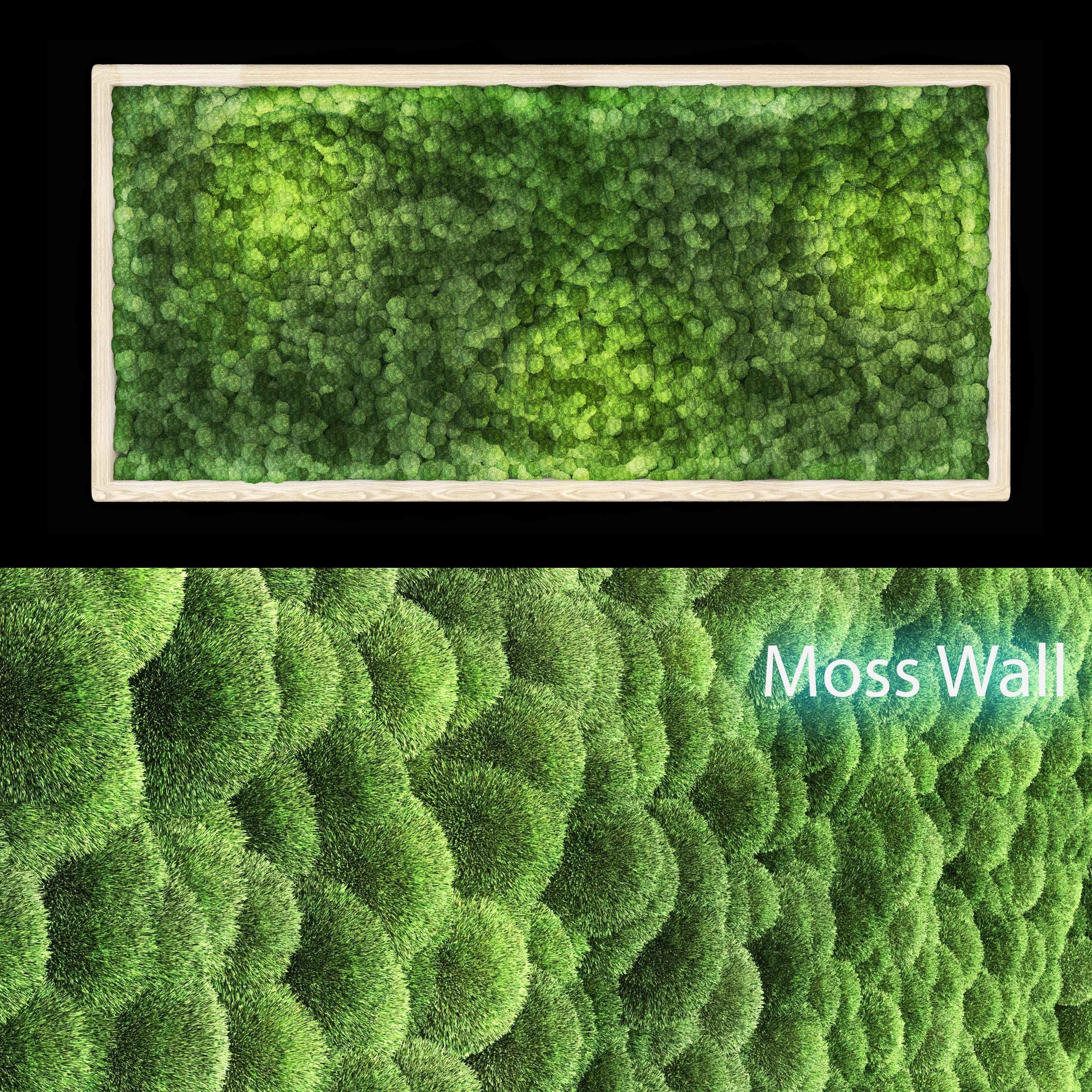 moss wall frame 3D model_2