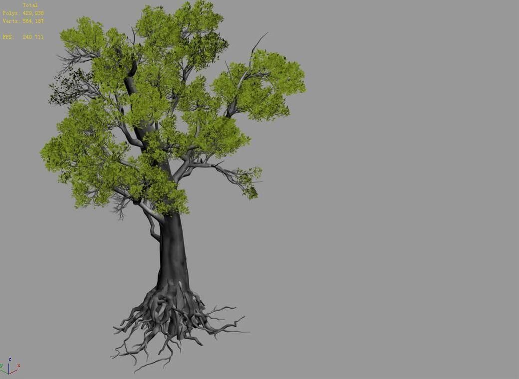 Big tree 1101 3D model_3