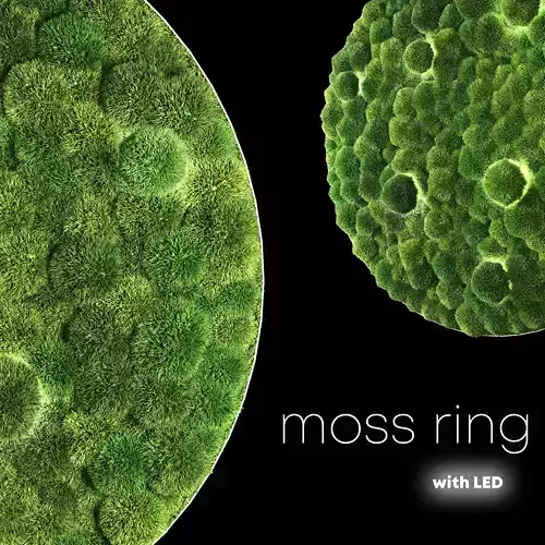 Moss Ring with LED
