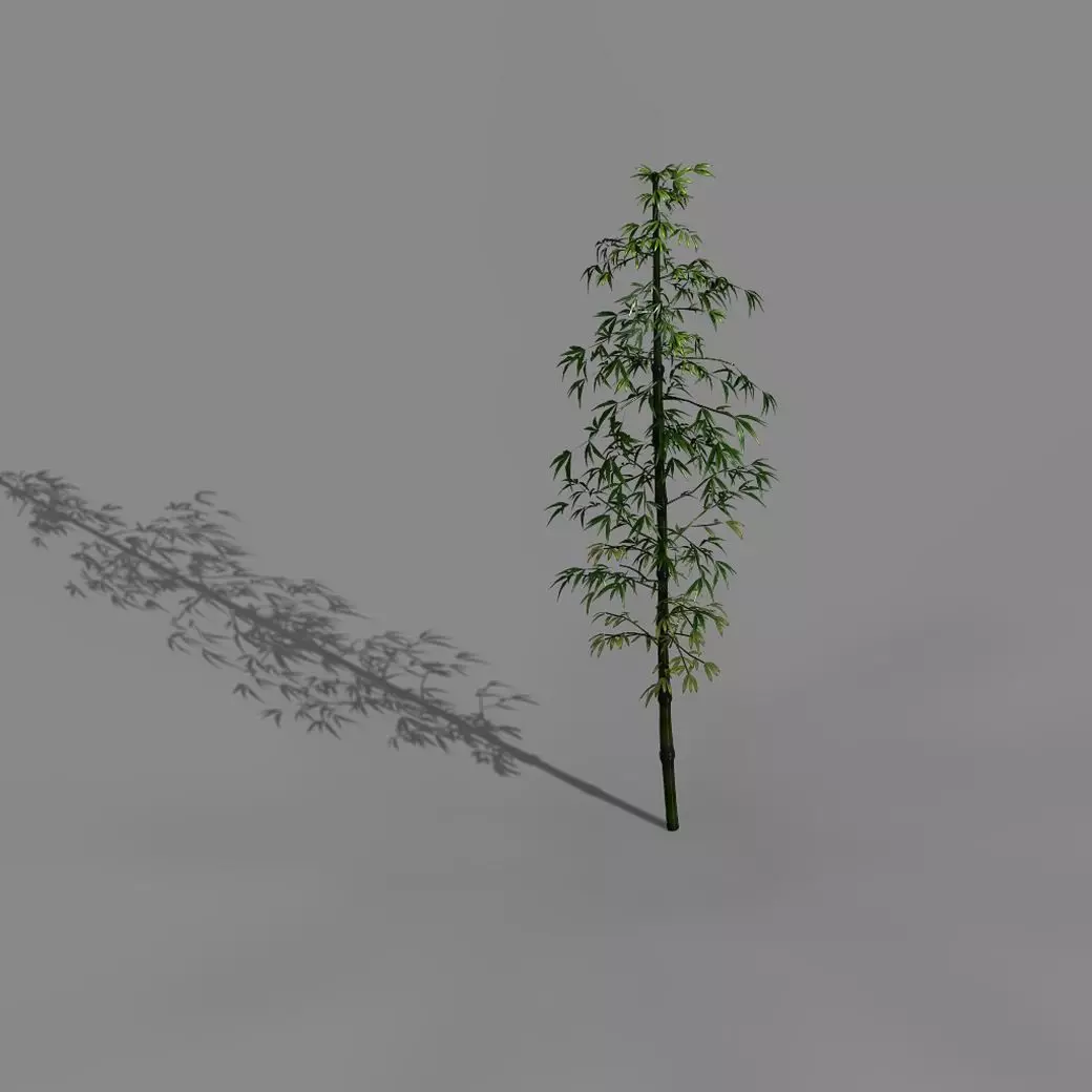 Dazhu Feng - black knot bamboo 01 3D model_0