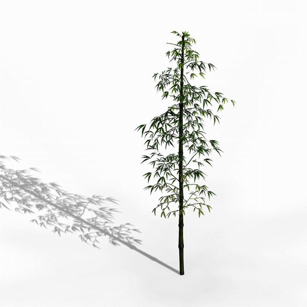 Dazhu Feng - black knot bamboo 01 3D model_7