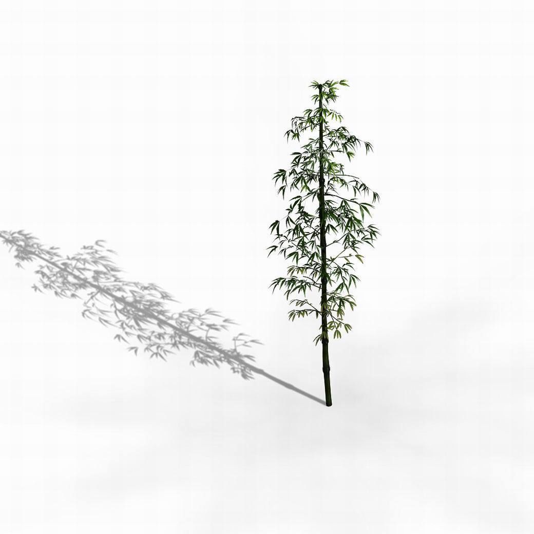 Dazhu Feng - black knot bamboo 01 3D model_1