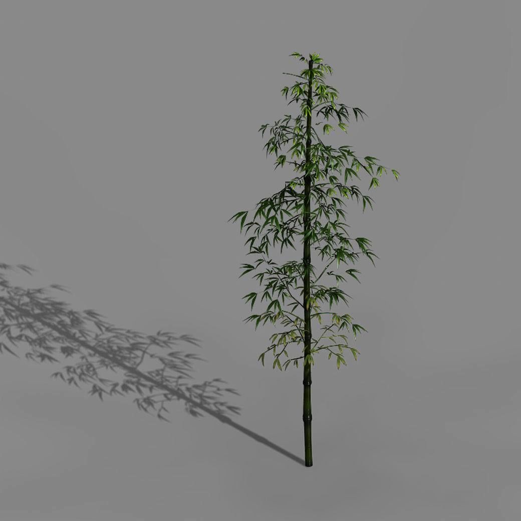 Dazhu Feng - black knot bamboo 01 3D model_6