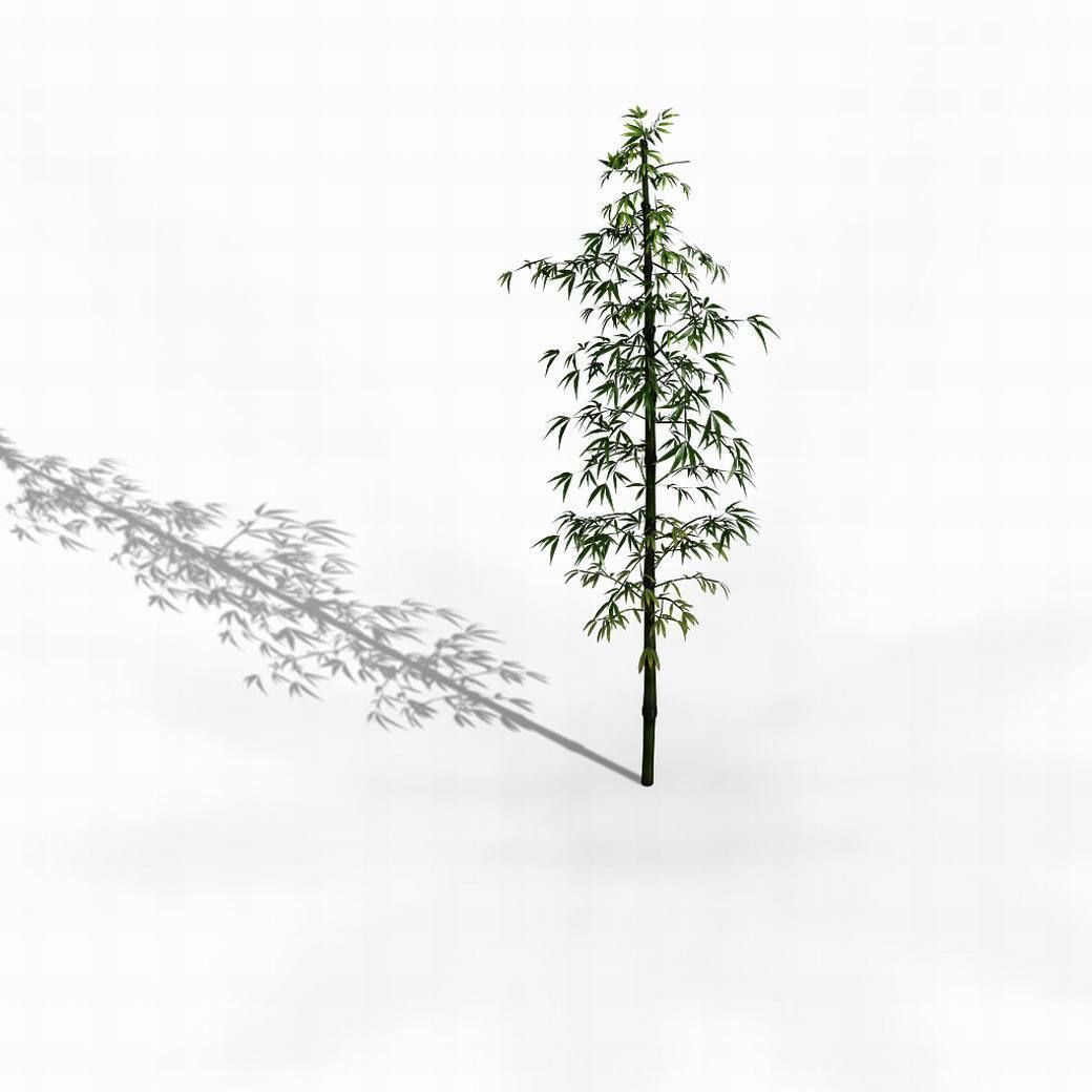 Dazhu Feng - black knot bamboo 01 3D model_3