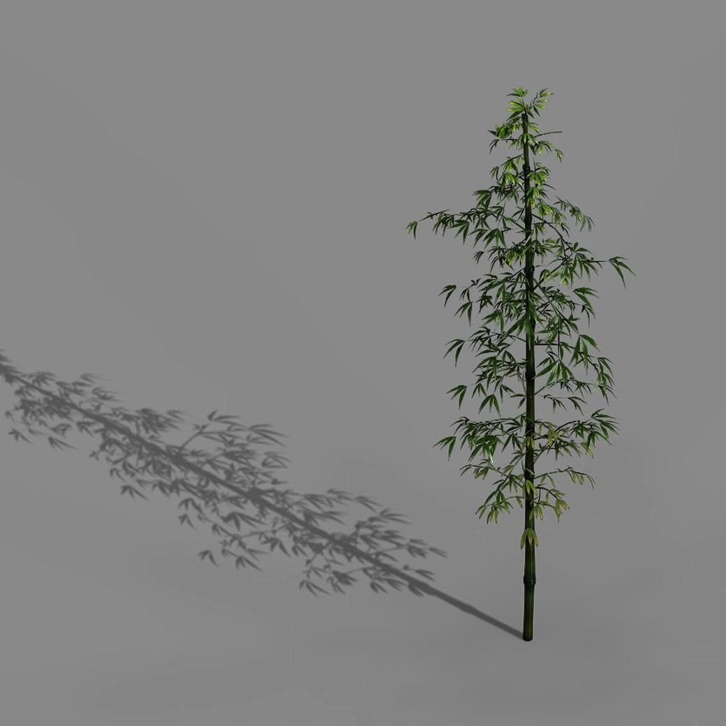 Dazhu Feng - black knot bamboo 01 3D model_2