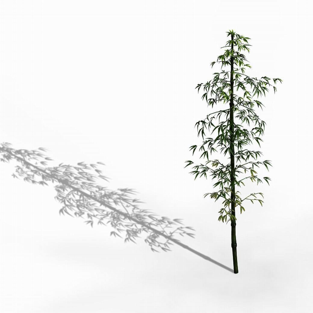 Dazhu Feng - black knot bamboo 01 3D model_5