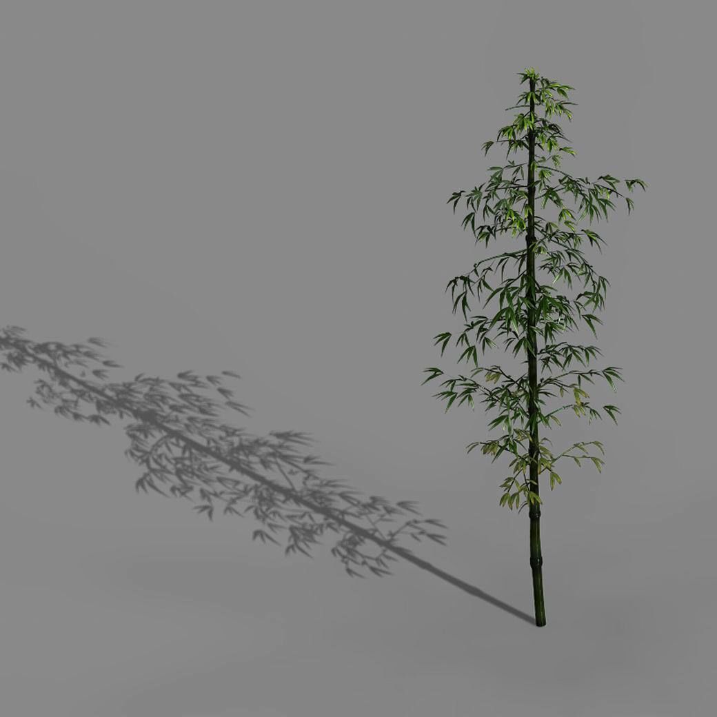 Dazhu Feng - black knot bamboo 01 3D model_4