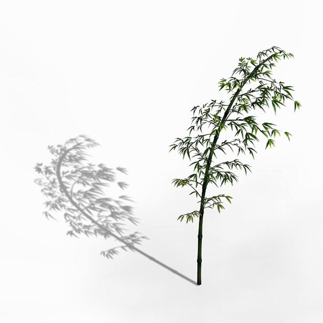 Dazhu Feng - black knot bamboo 03 3D model_1