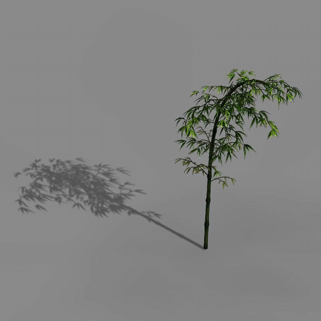 Dazhu Feng - black knot bamboo 03 3D model_7