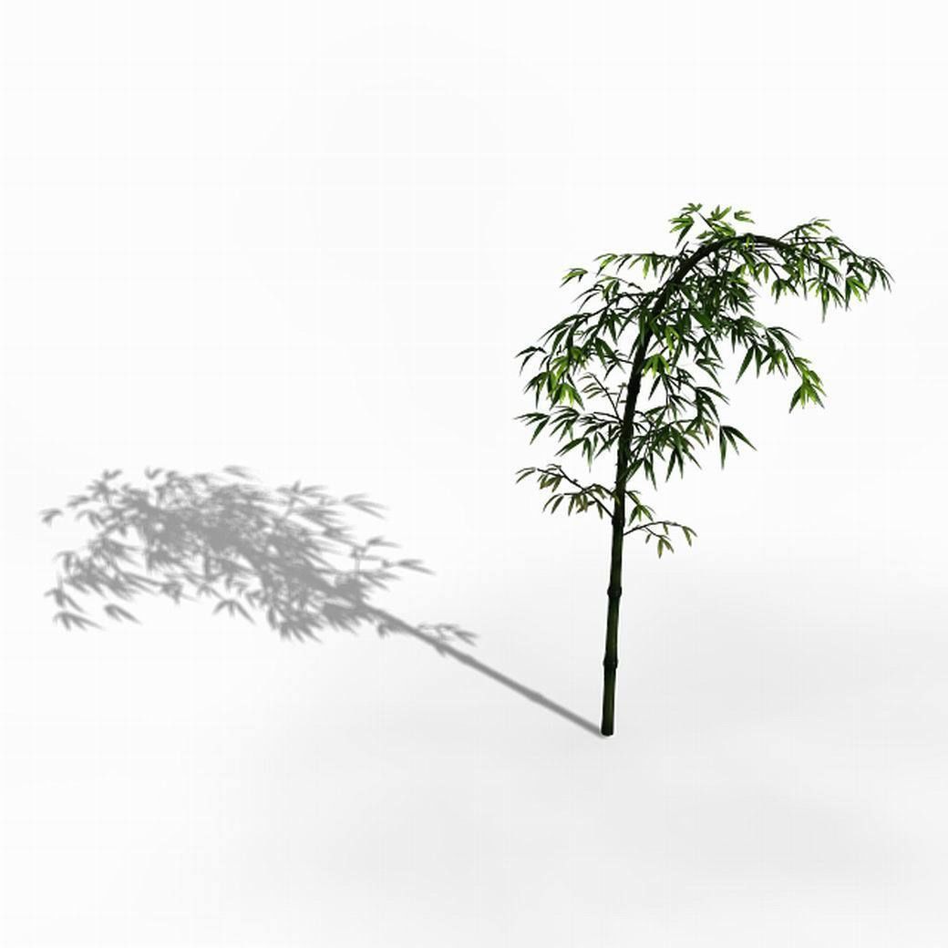 Dazhu Feng - black knot bamboo 03 3D model_6