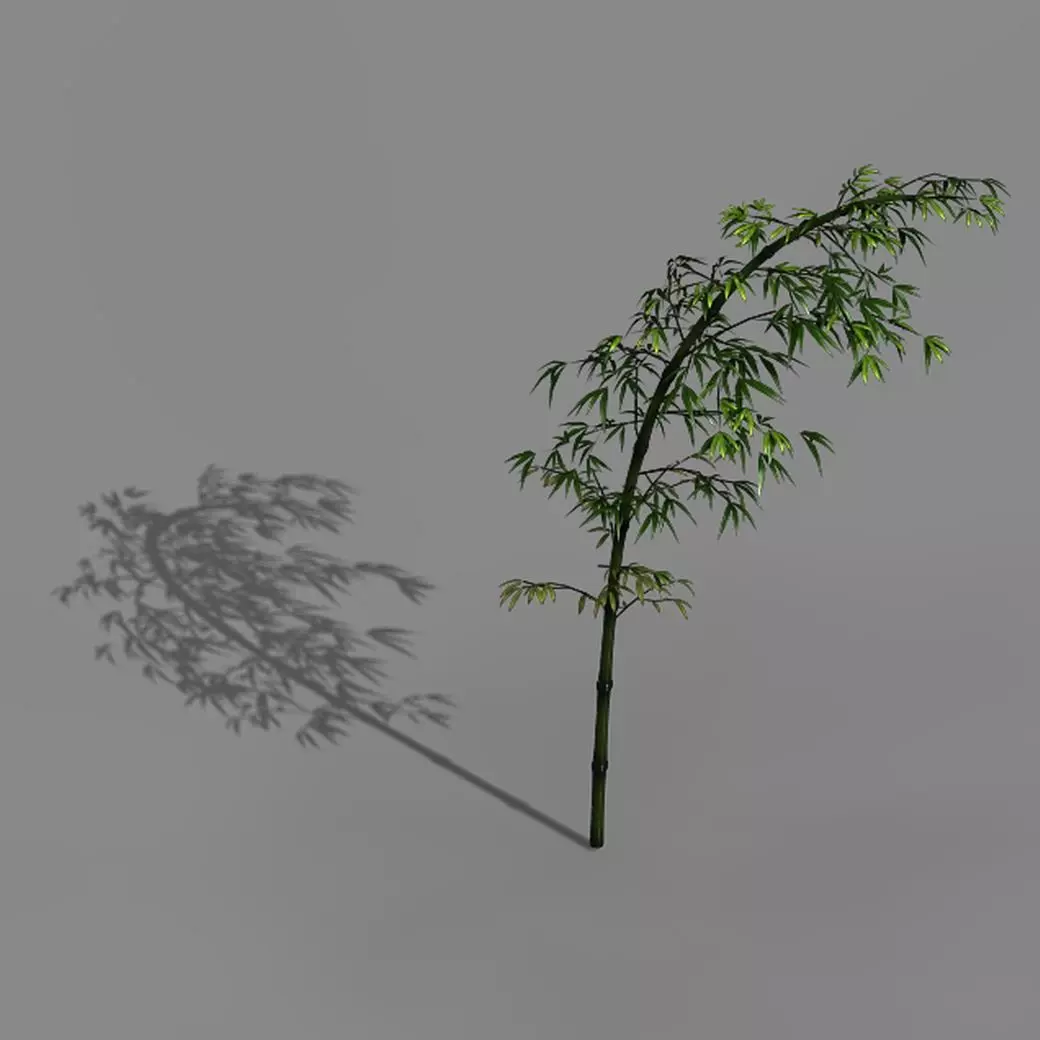 Dazhu Feng - black knot bamboo 03 3D model_0