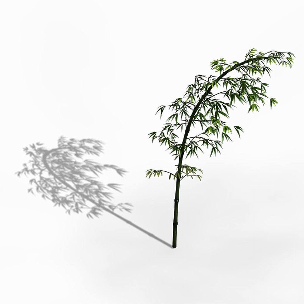 Dazhu Feng - black knot bamboo 03 3D model_3