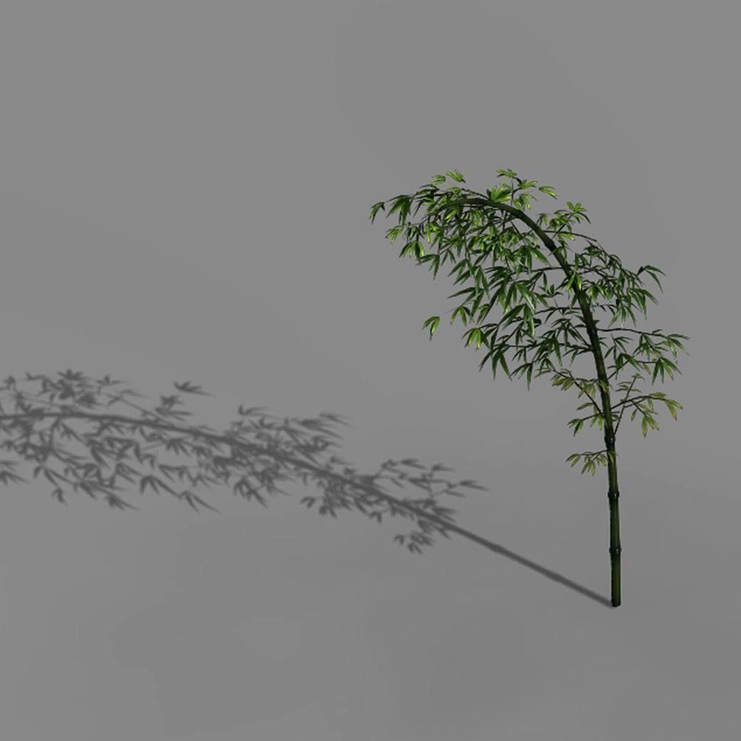 Dazhu Feng - black knot bamboo 03 3D model_5