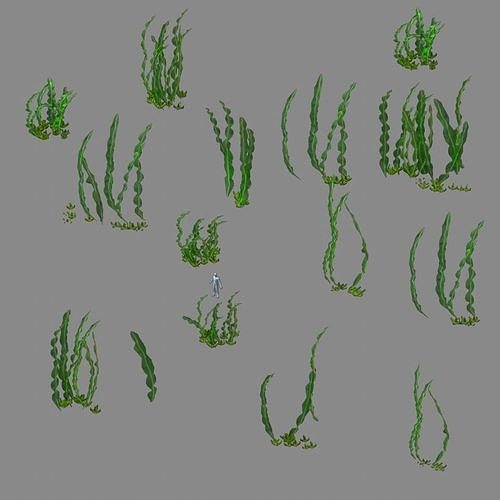 Seabed plant - Kelp 01 3D model