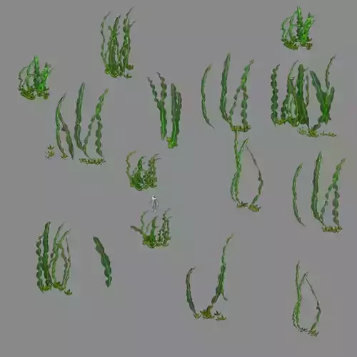 Seabed plant - Kelp 01 3D model
