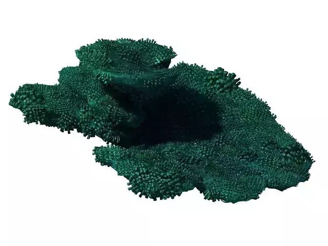 Seabed - Coral 74 3D model