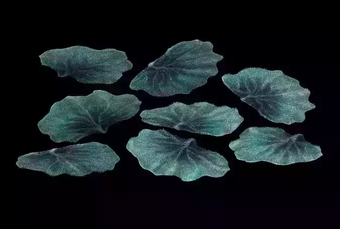 Seabed - Coral 76 3D model