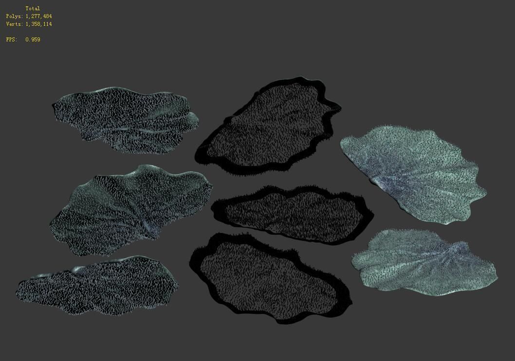 Seabed - Coral 76 3D model_5