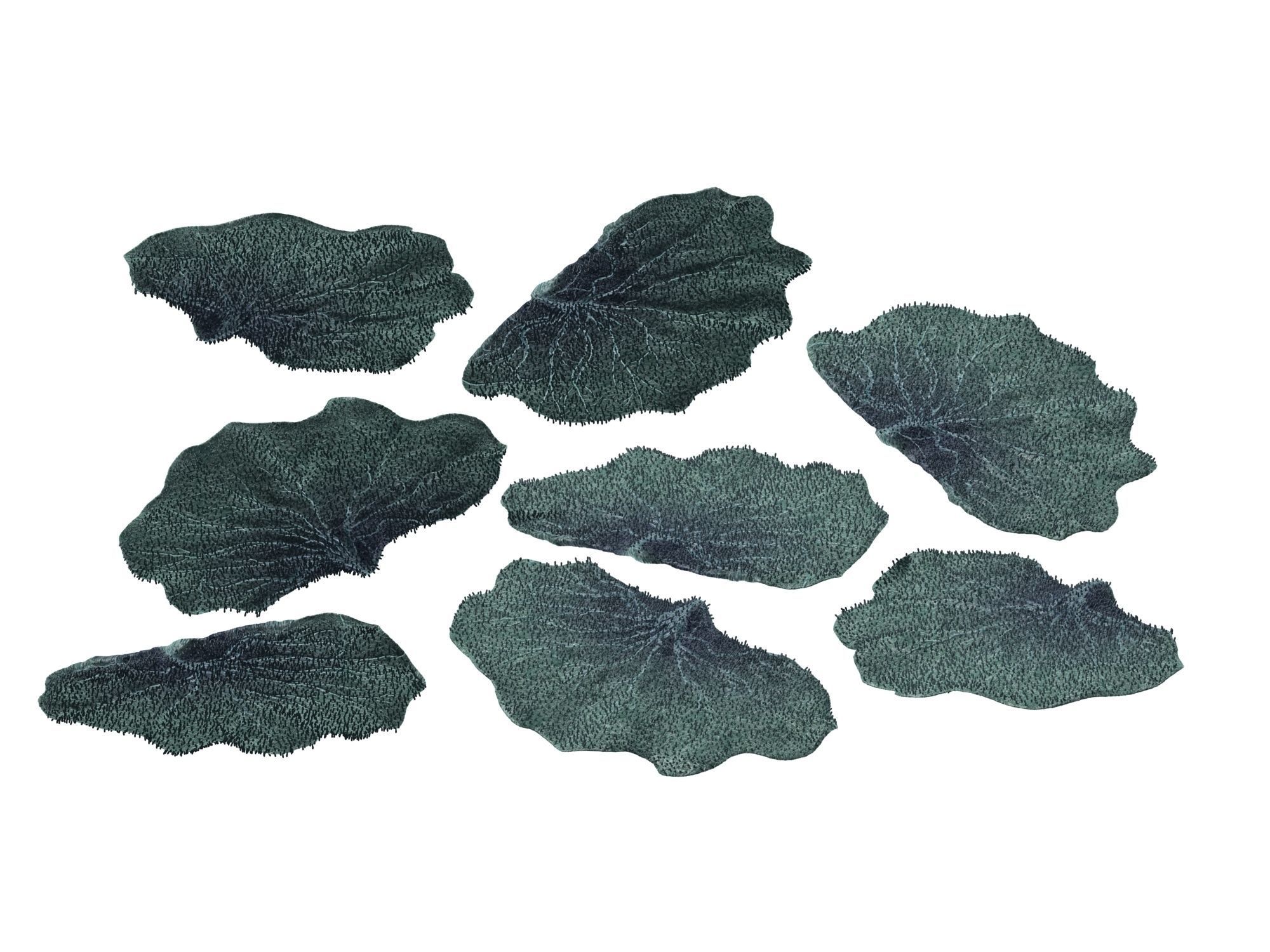 Seabed - Coral 76 3D model_2