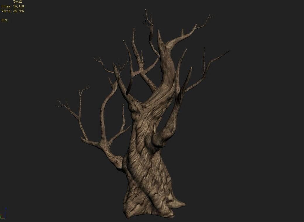 Acacia - Trunk 02 3D model_5